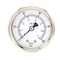 Pic Gauges 2 in Dial, 1/4 in NPT Male Center Back Location, Stainless Steel Case Material PRO-302D-204E-01 - alternate 1